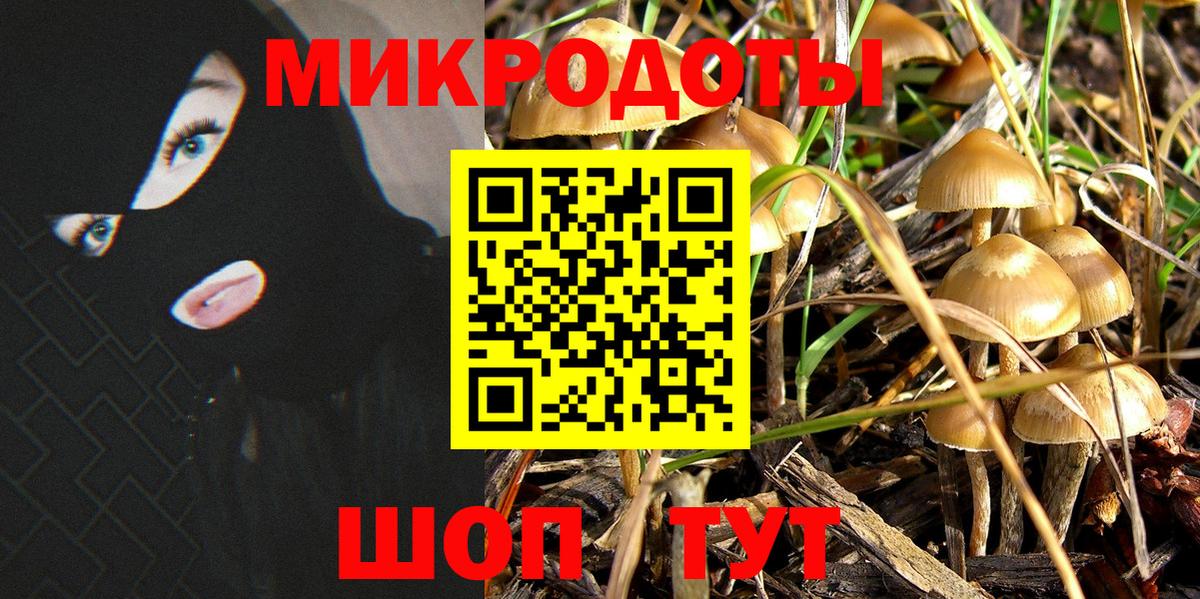 Галлюциногенные грибы ЛСД  Галлюциногенные грибы прущие грибы  как найти наркотики  Химки  Вход с VPN 