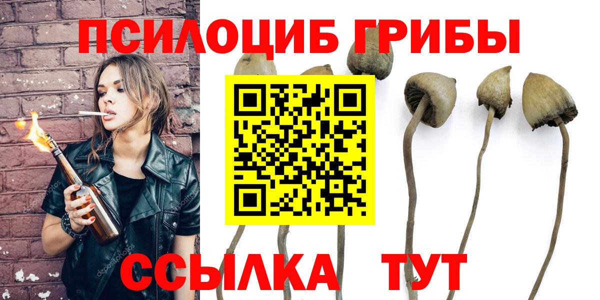 Псилоцибиновые грибы мицелий Химки